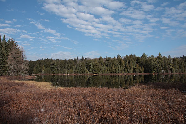 along the Hemlock Bluff Trail in Algonquin Park