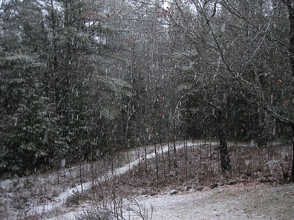 wet snow