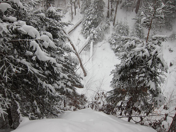 McConnell Creek Ravine in Point Alexander
