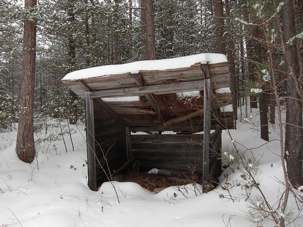 Maunsell Ski Trail in the Petawawa Research Forest