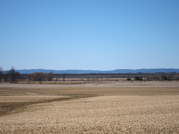 spring field near Beachburg