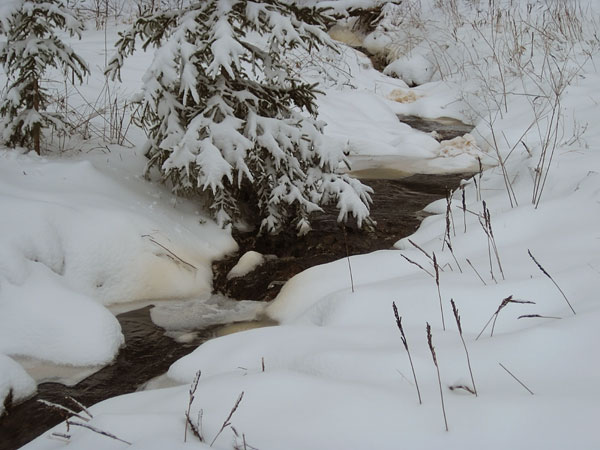 spring freshet in thePetawawa Research Forest