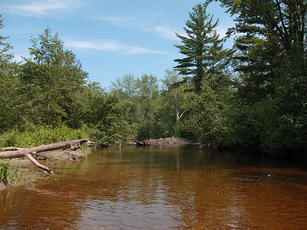 clear water