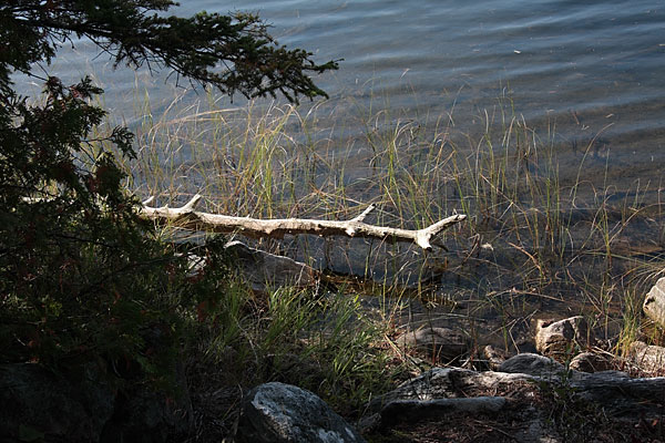 Pan Lake in Algonquin Park