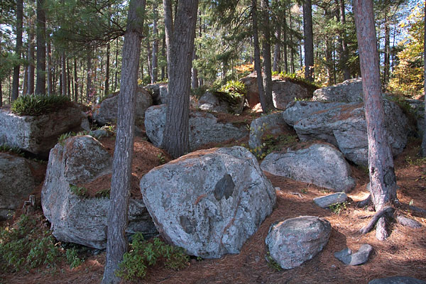 glacial boulders at Bucholtz Lake along the Eastern Pines Hiking Trail in Algonquin Park
