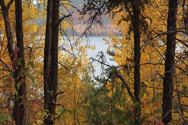 The Ottawa River at Driftwood Provincial Park