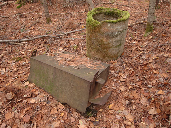 Found in the Bush