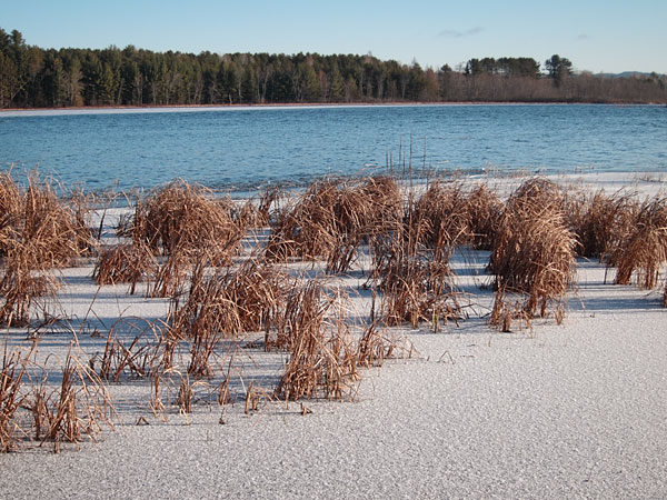 Corry Lake