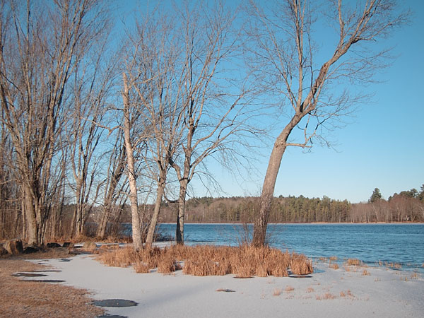 Corry Lake