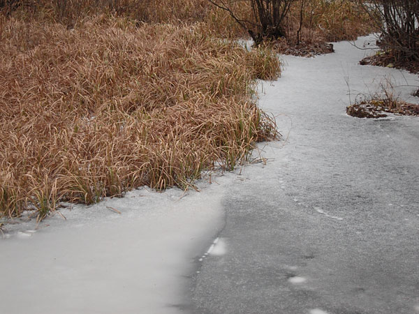 Maunsell Creek in the Petawawa Research Forest