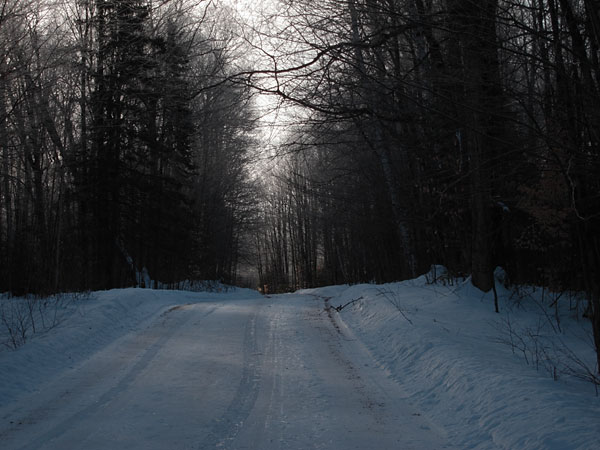 Branstead Road in the Petawawa Research Forest