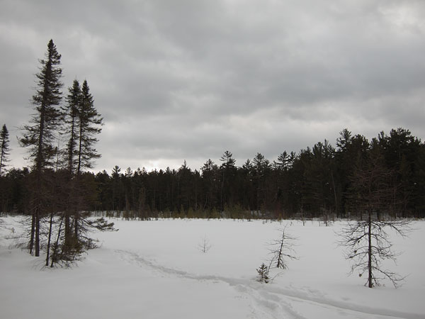 Maunsell Lake in the Petawawa Research Forest