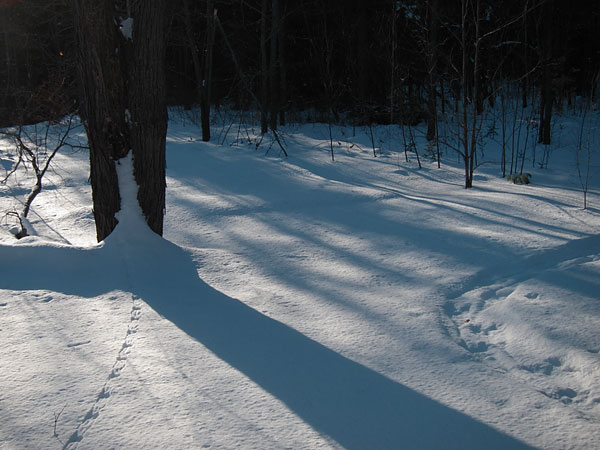 late afternoon