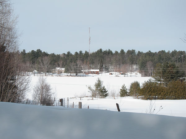 Corry Lake