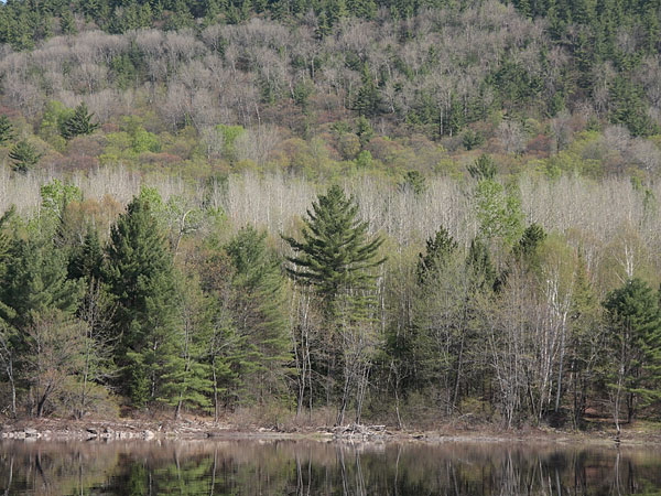 Presquisle Bay on the Ottawa River near Point Alexander