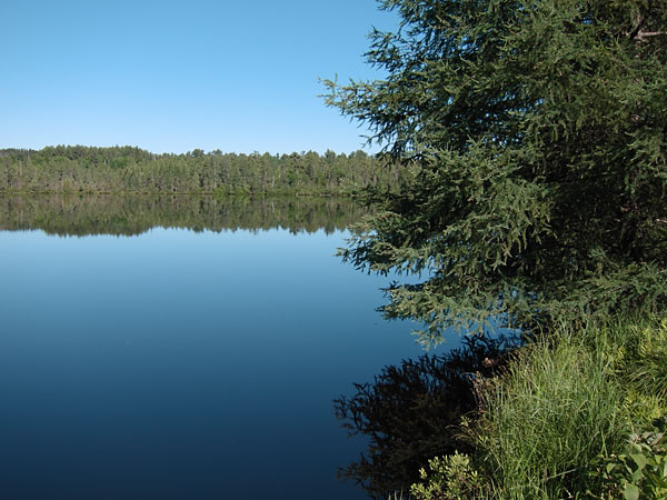 Thomas Lake in the Petawawa Research Forest