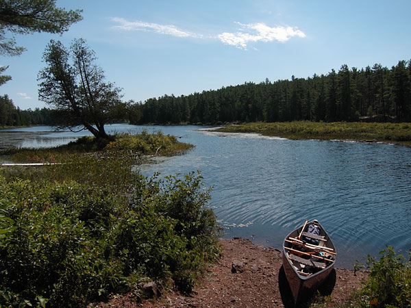 Barron River in Algonquin Park