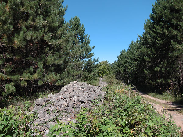 stone fence along Newfoundout Road