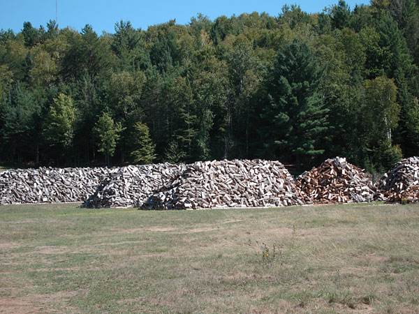 wood piles