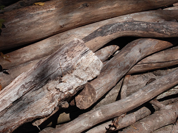 wood pile