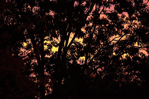 sunrise