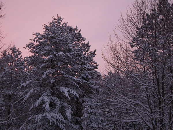 dawn