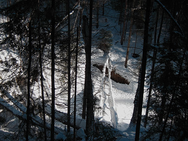 McConnel Creek
