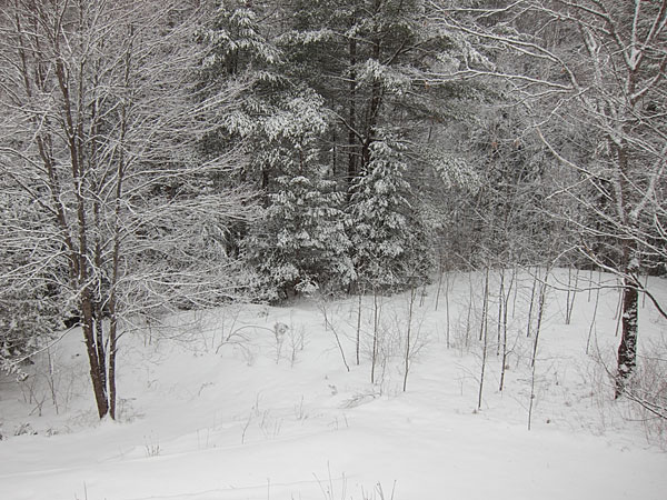 winter returns