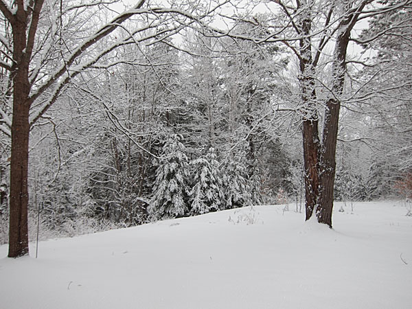 spring in Point Alexander