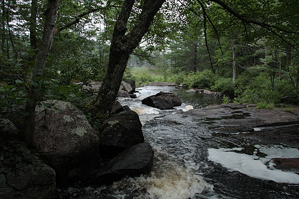 ford across Cartier Creek in the Petawawa Research Forest