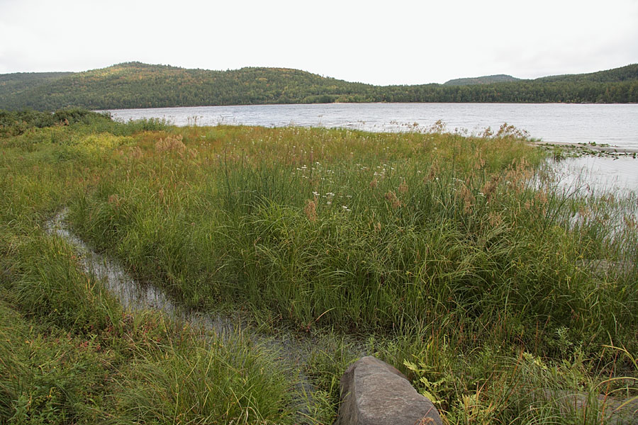 Ottawa River at Meilleurs Bay