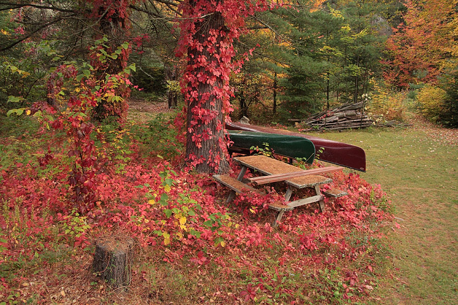 canoes