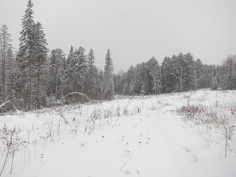approaching Woermke Road at the intersection with Branstead Road in the Petawawa Research Forest