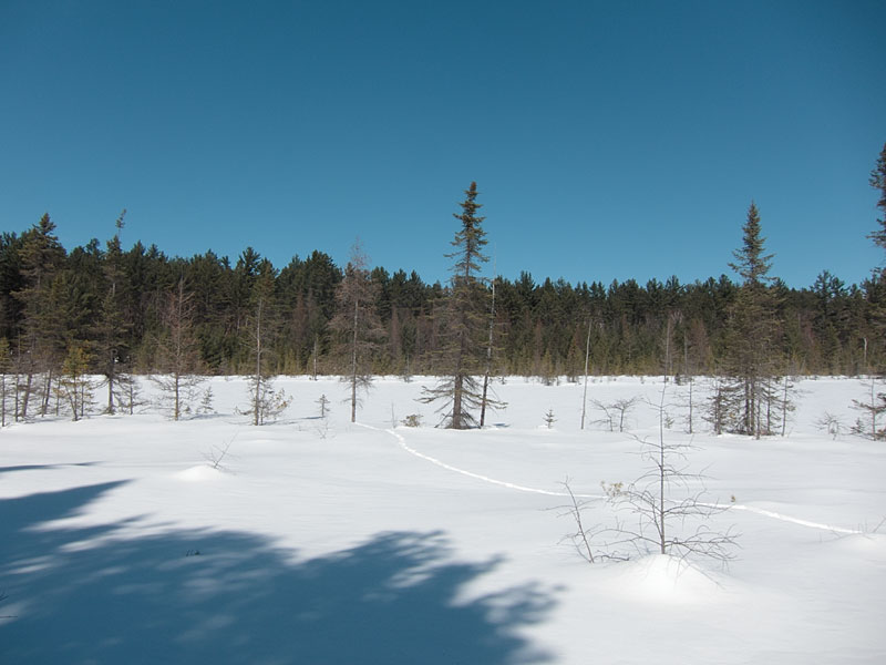 Maunsell Lake in the Petawawa Research Forest