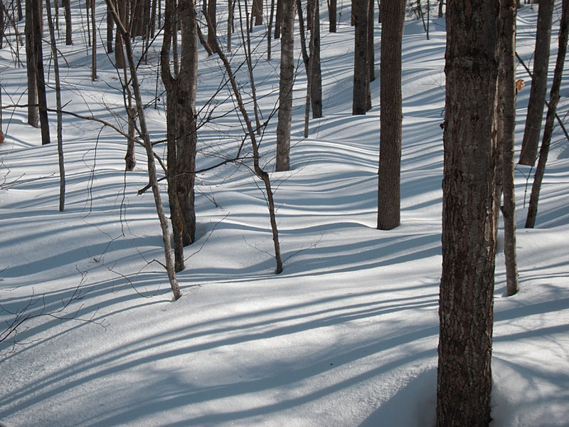 snow shadows  stripes