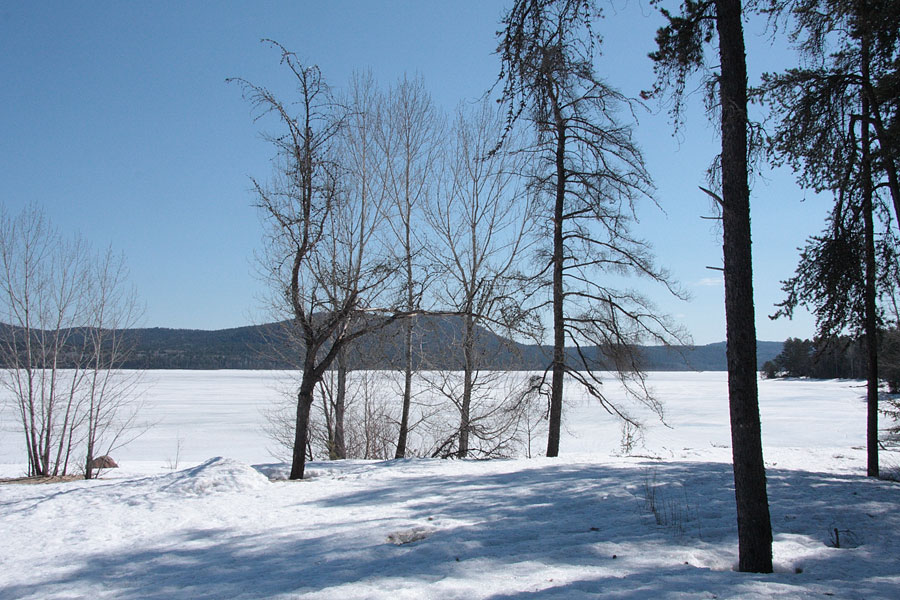 Pine Point on the Ottawa River