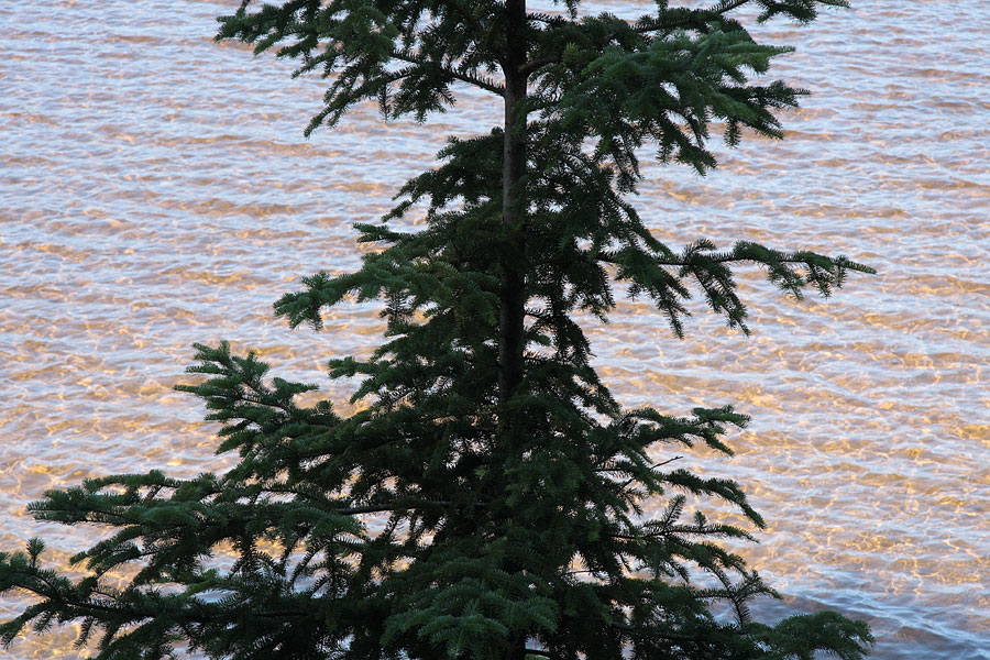 Grand Lake in Algonquin Park
