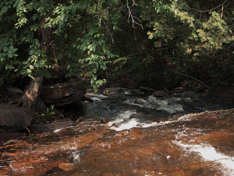 Barron River between St Andrews Lake and Highfalls Lake in Algonquin Park