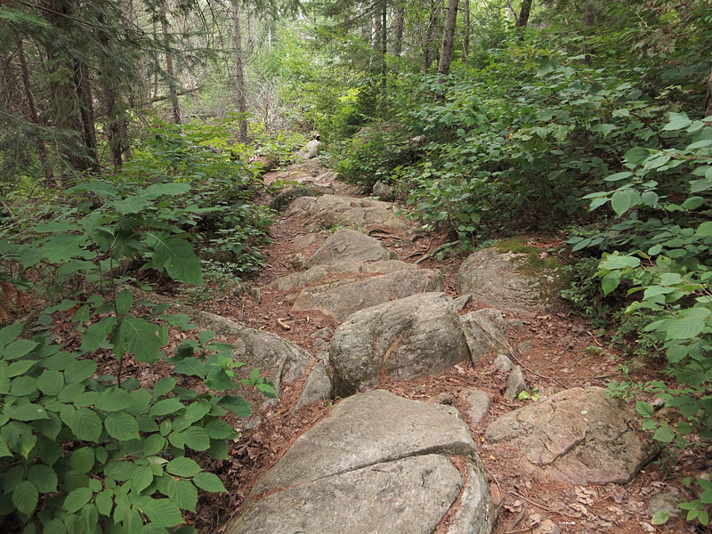 Boulder pavement along portage out of Highfalls Lake in Algonquin Park