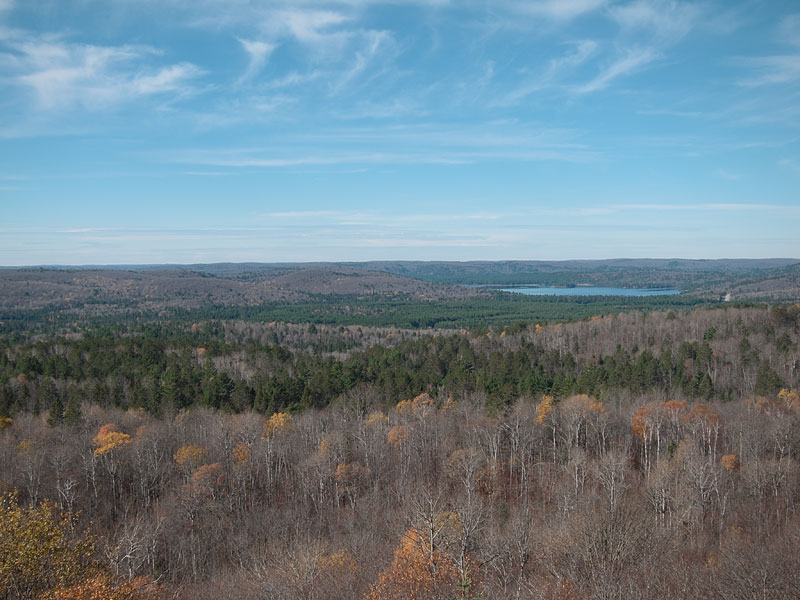 along the Centennial Ridges Trail in Algonquin Park