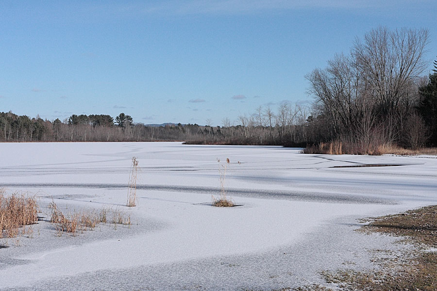 Corry Lake