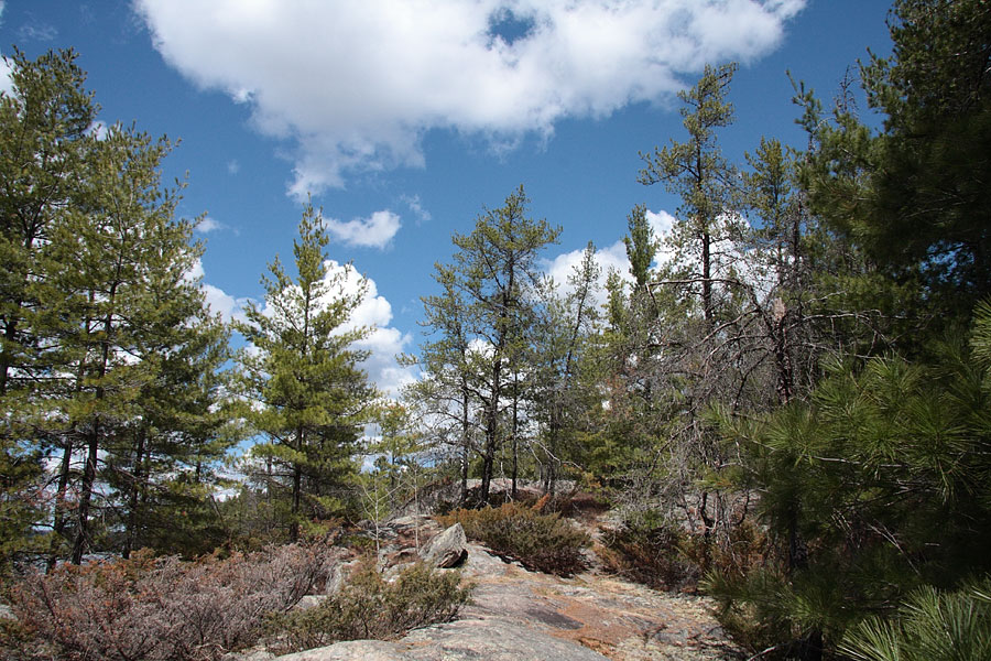 on Grand Lake in Algonquin Park