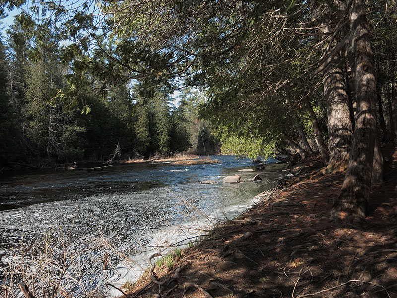 Barron River in Algonquin Park at Brigham Lake access point