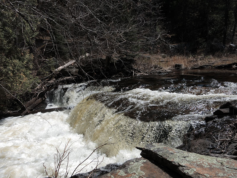 Barron River in Algonquin Park