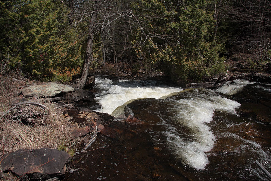 Barron River in Algonquin Park