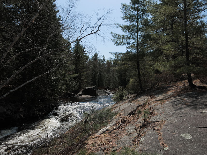 Barron River in Algonquin Park