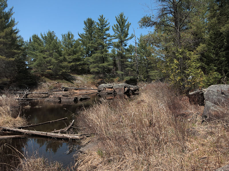Third Channel of the Barron River in Algonquin Park