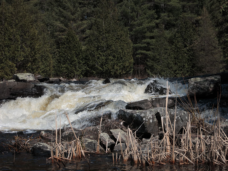 Barron River in Algonquin Park