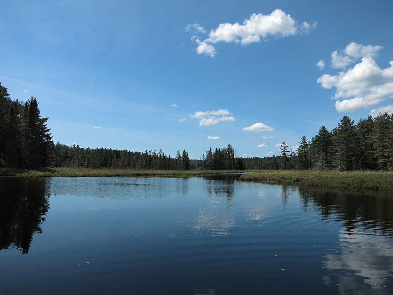 Carcajou Creek in Algonquin Park