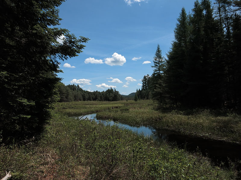 McDonald Creek in Algonquin Park